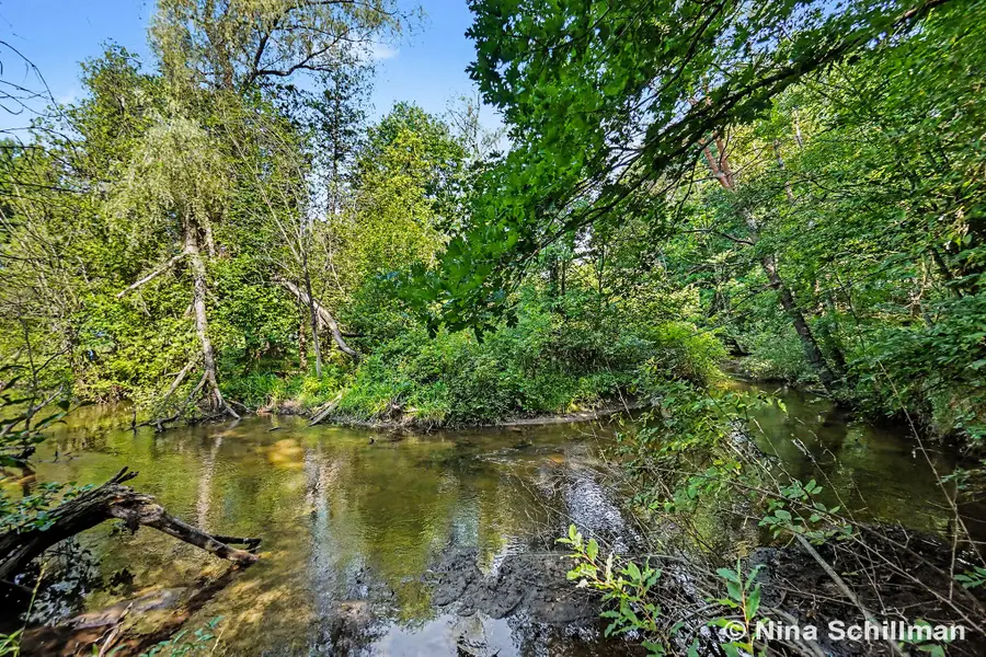 3754 E White River, Hesperia, MI 49421 - #2