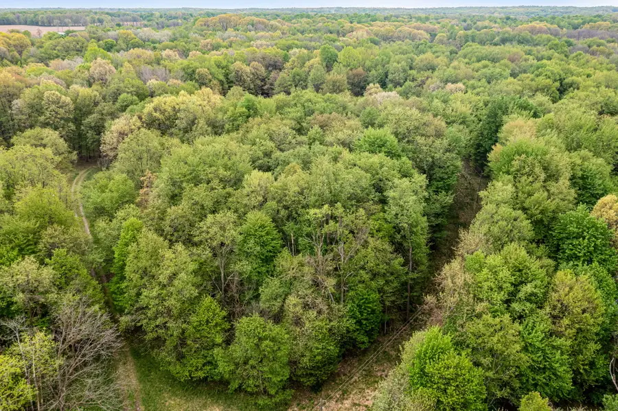18731 Williamsville Street, Cassopolis, MI 49031 - #2