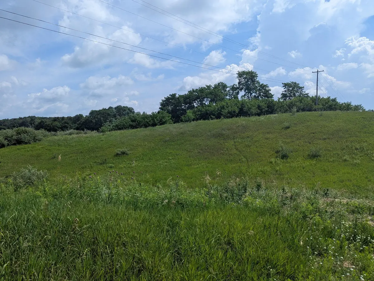 Lot 1 Vicary Road, Cement City, MI 49233 - #1
