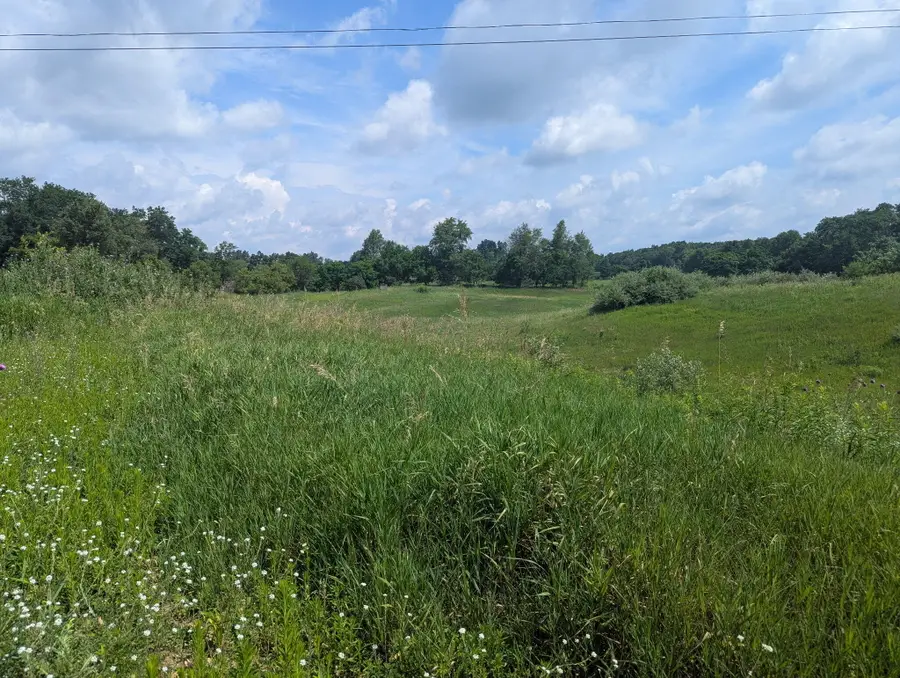 Lot 1 Vicary Road, Cement City, MI 49233 - #2