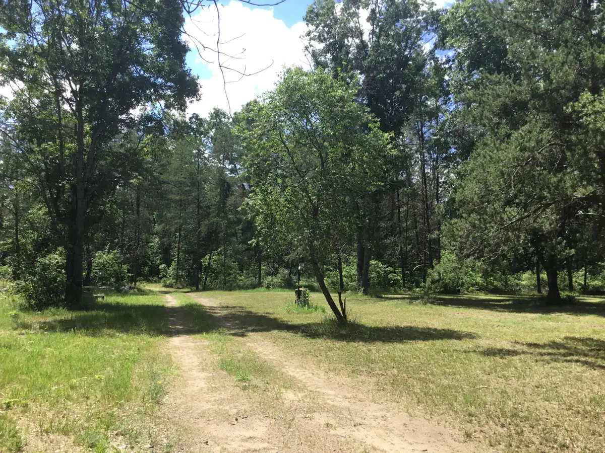 2597 E Gladys Street, Idlewild, MI 49642 - #1