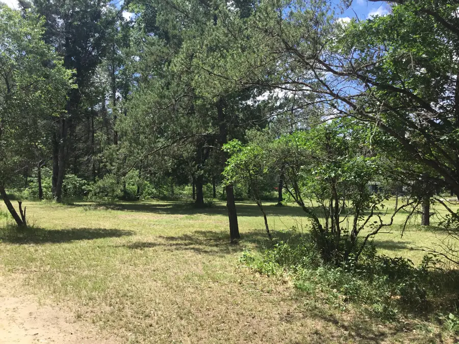 2597 E Gladys Street, Idlewild, MI 49642 - #2