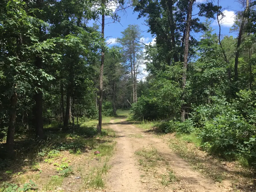 2597 E Gladys Street, Idlewild, MI 49642 - #3