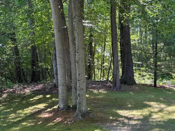 4925 S Gordon Road Ne, Newaygo, MI 49337