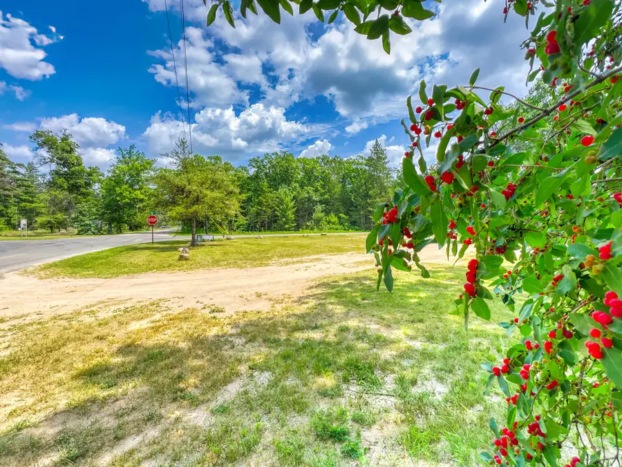 3973 E 3 Mile Road, Luther, MI 49656 - #2