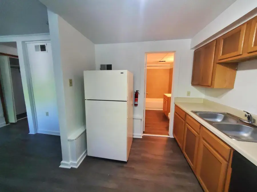 428 N Washington Street, Ypsilanti, MI 48197 - #2