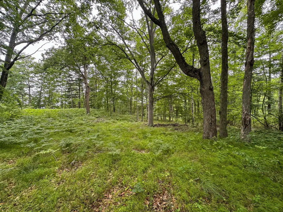 40 V/L 80th Avenue, Rodney, MI 49342 - #2