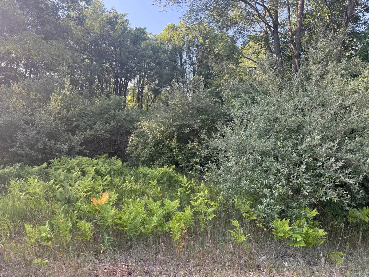 6380 Clubhouse Dr East E #419, Stanwood, MI 49346 - #1