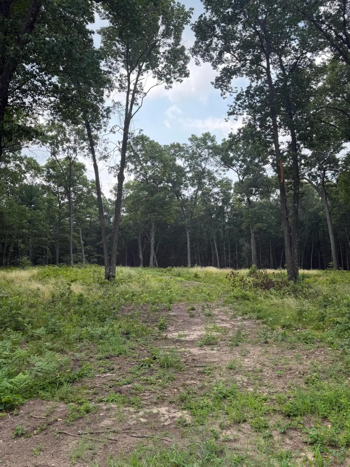 1099 Chicago Drive #Lot 20, Whitehall, MI 49461 - #1