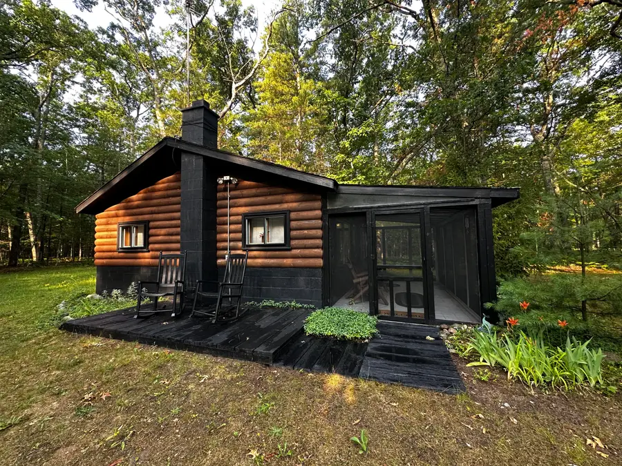8047 W Peterson Road, Irons, MI 49644 - #3