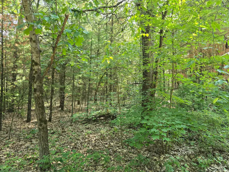 VL E Michland Path, White Cloud, MI 49349 - #2