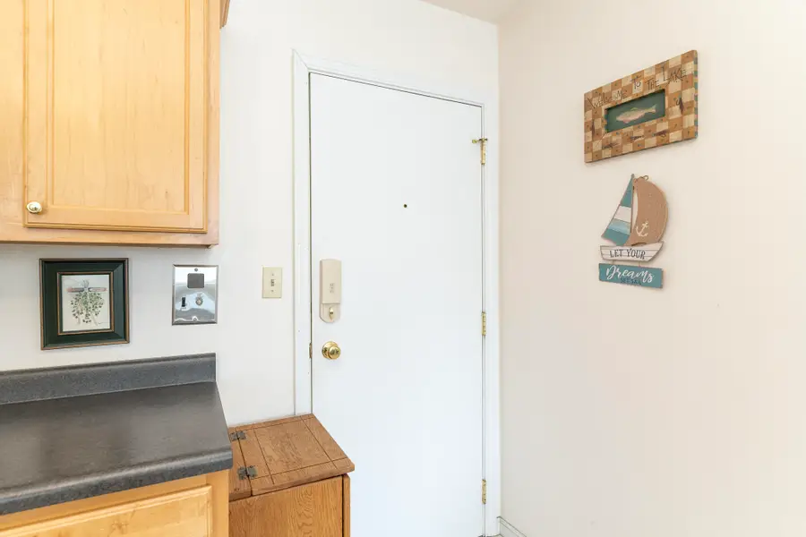 223 N Shore Drive #310, South Haven, MI 49090 - #3