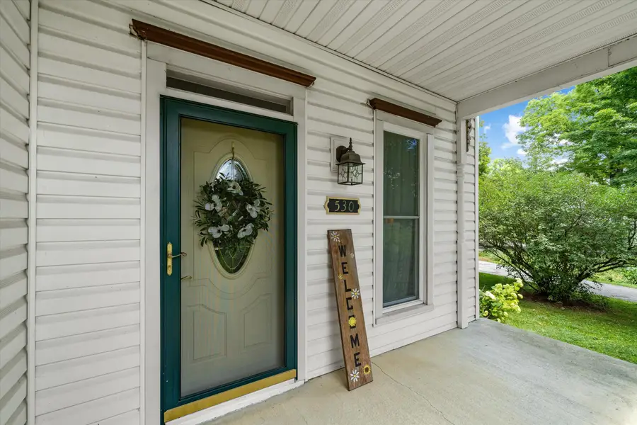 530 Newton Road, Coldwater, MI 49036 - #3