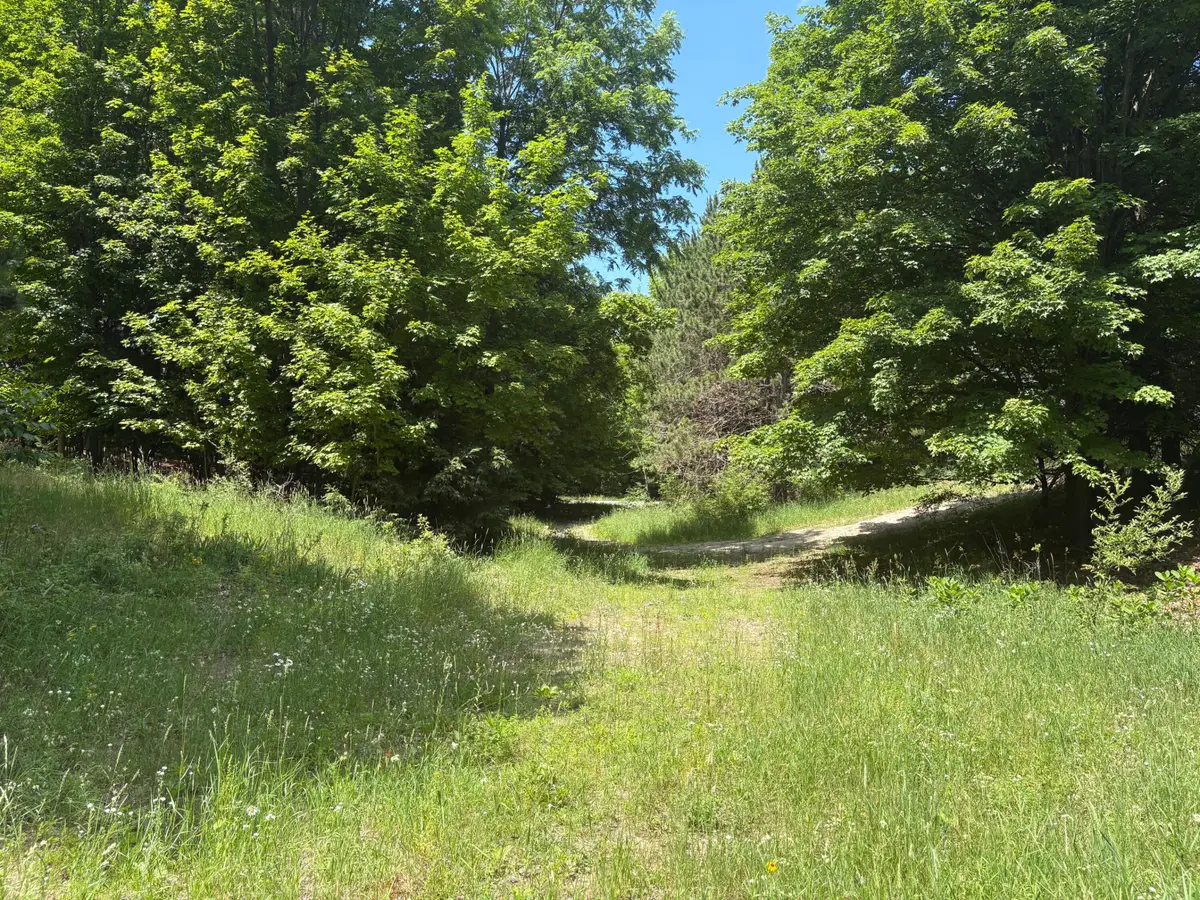 3475 Grace Road, Frankfort, MI 49635 - #1