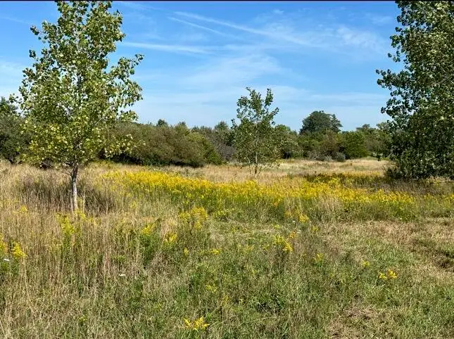 Rolling Hills Drive, Fennville, MI 49408 - #2