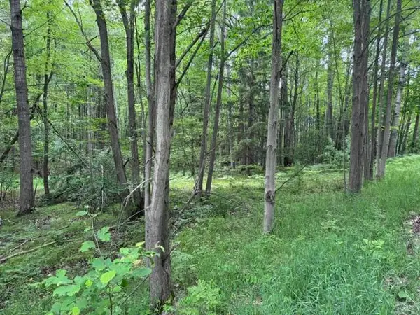 142 Hills Circle, Leroy, MI 49655