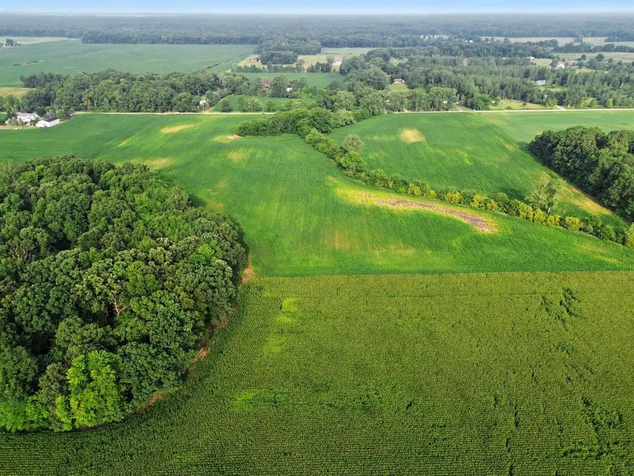 V Gramlich Road, Maybee, MI 48159 - #3