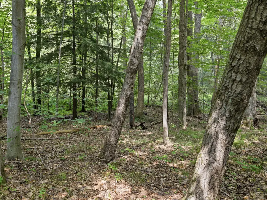 10 Mile Road #09, Stanwood, MI 49346 - #2