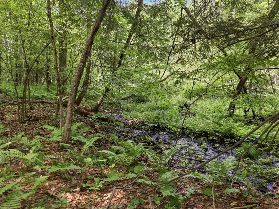 10 Mile Road #09, Stanwood, MI 49346 - #3