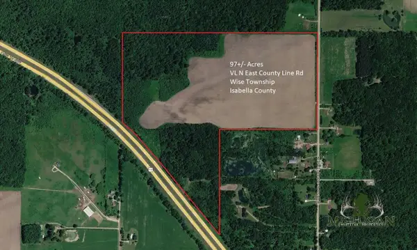 NE County Line Road, Coleman, MI 48618