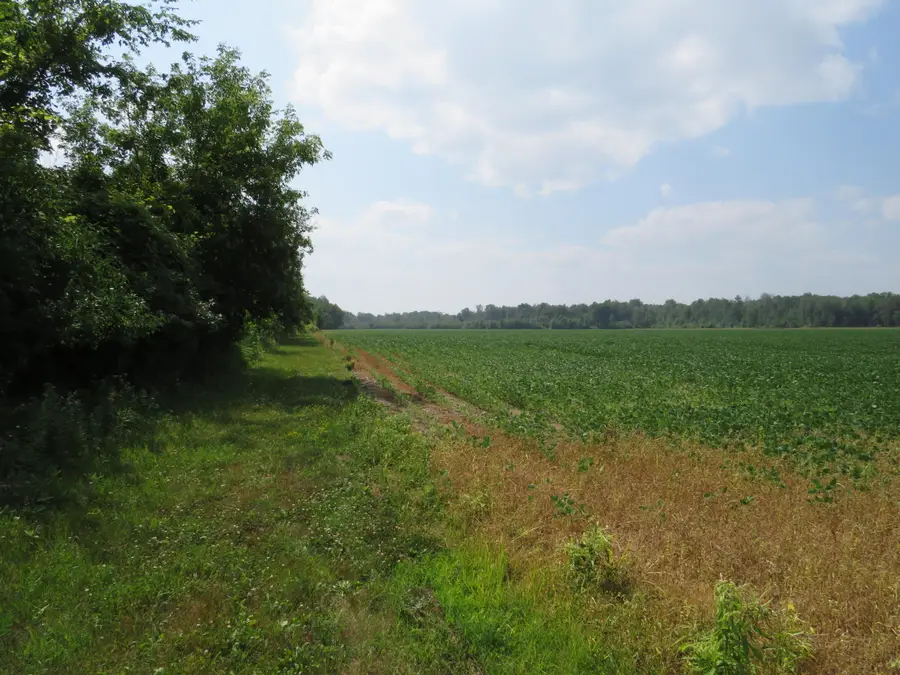 NE County Line Road, Coleman, MI 48618 - #3