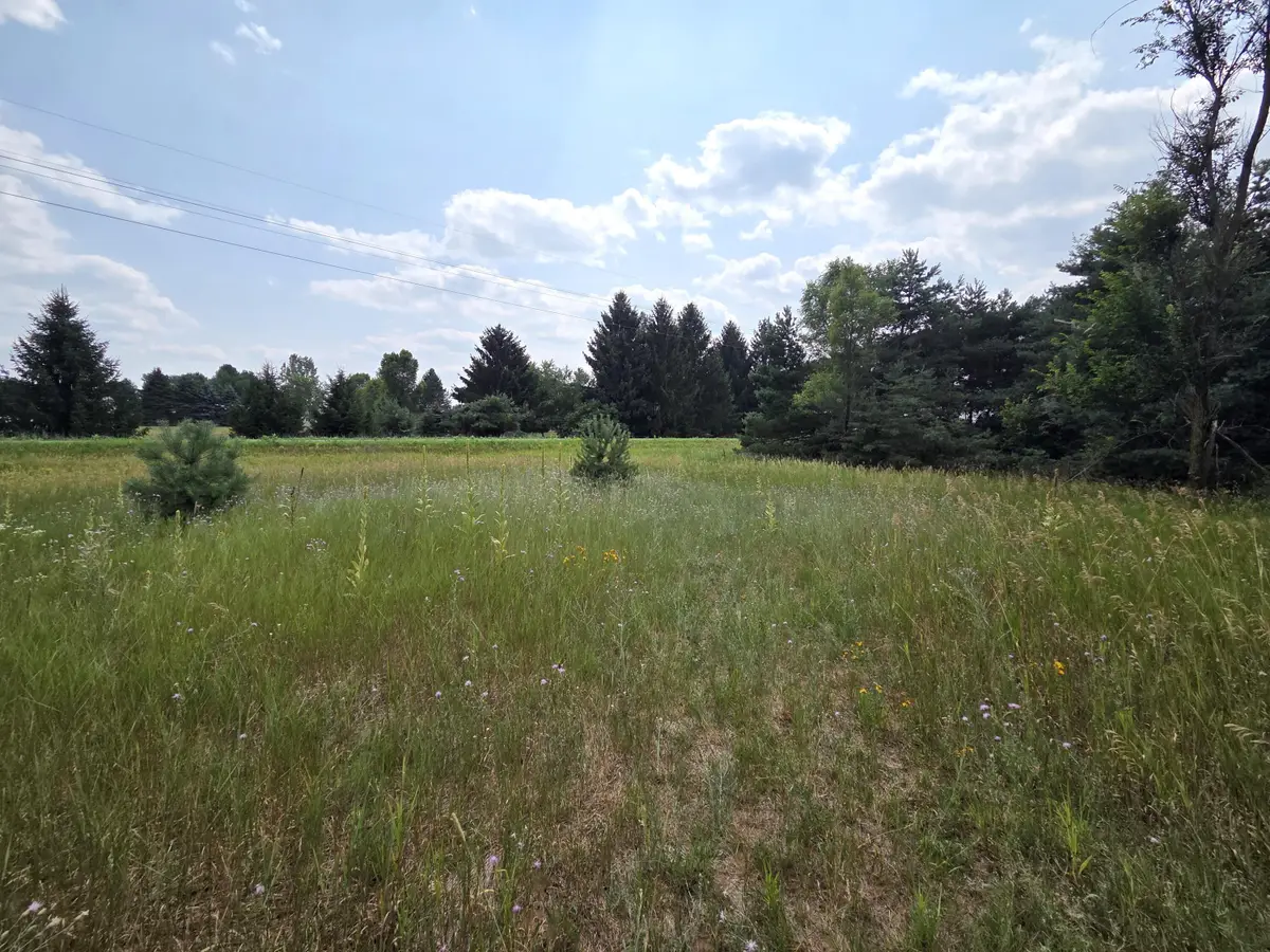 00 W Stanton Road, Trufant, MI 49347 - #1