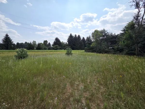 00 W Stanton Road, Trufant, MI 49347