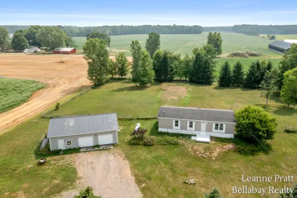 10130 Stahl Road, Lake Odessa, MI 48849
