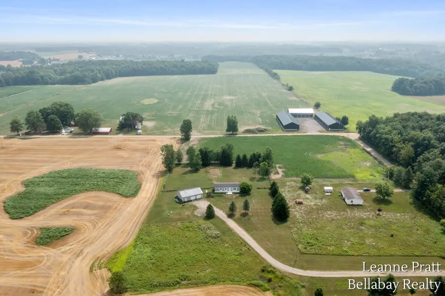 10130 Stahl Road, Lake Odessa, MI 48849 - #2