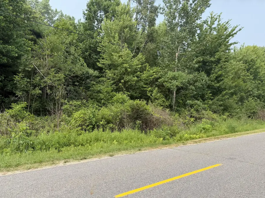 V/L 70422 16th Avenue, South Haven, MI 49090 - #3