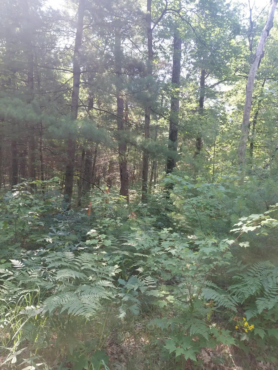 2807 S Evergreen Drive, White Cloud, MI 49349 - #2