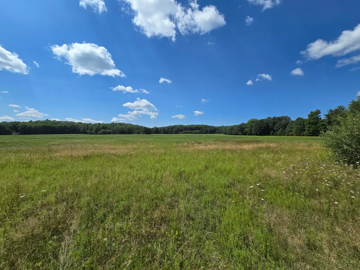 Parcel C Leckrone Road, Brethren, MI 49619 - #1