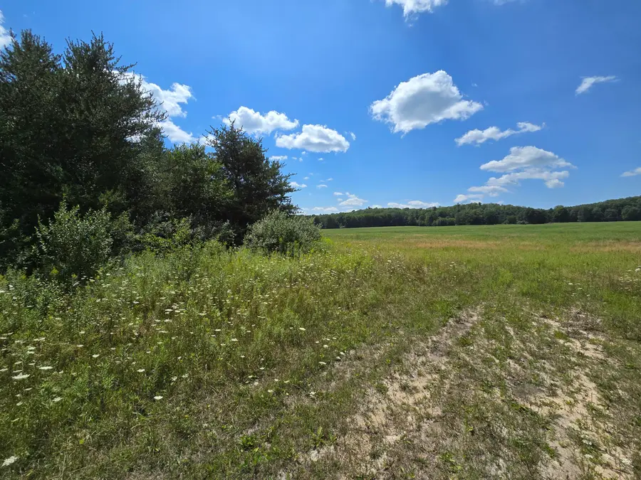 Parcel C Leckrone Road, Brethren, MI 49619 - #2