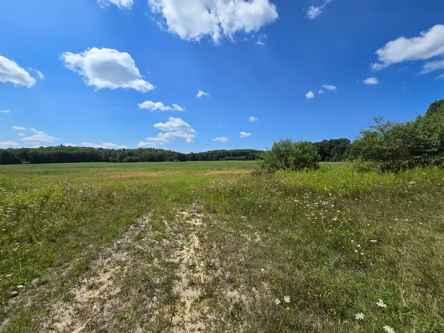 Parcel C Leckrone Road, Brethren, MI 49619 - #3