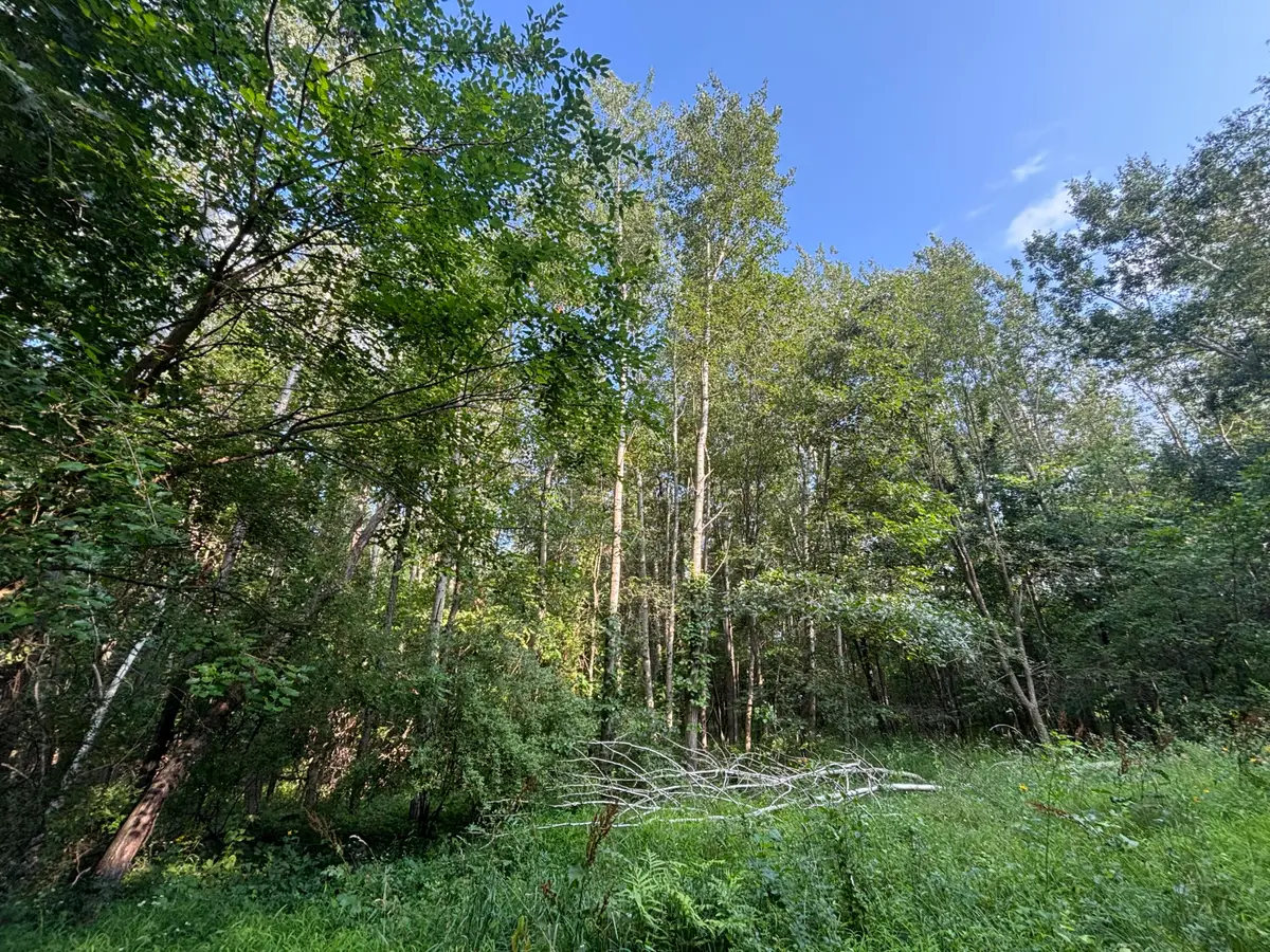 Jacob Road, Grass Lake, MI 49240 - #1