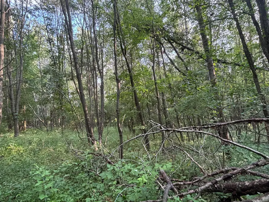 Jacob Road, Grass Lake, MI 49240 - #3