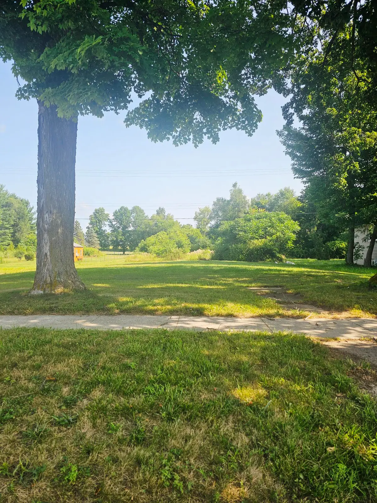 229 E Leroy Street, Burlington, MI 49029 - #1