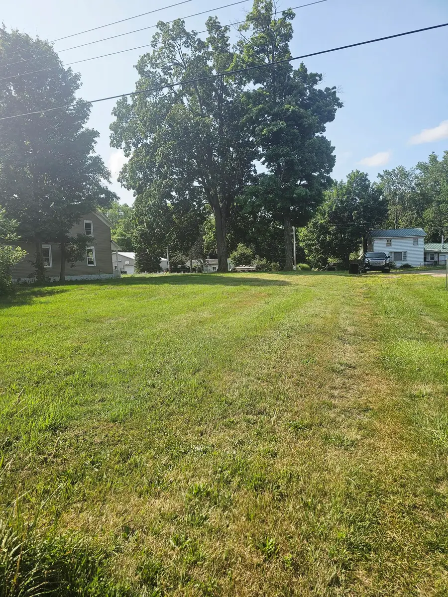 229 E Leroy Street, Burlington, MI 49029 - #3