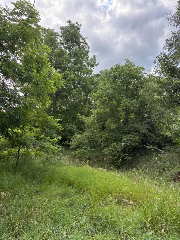 0 Rexford Road, Grass Lake, MI 49240