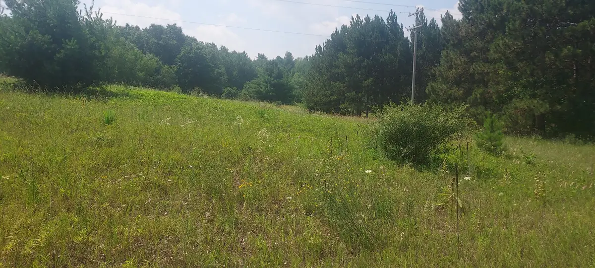 V/L E 88th Street, Howard City, MI 49329 - #1