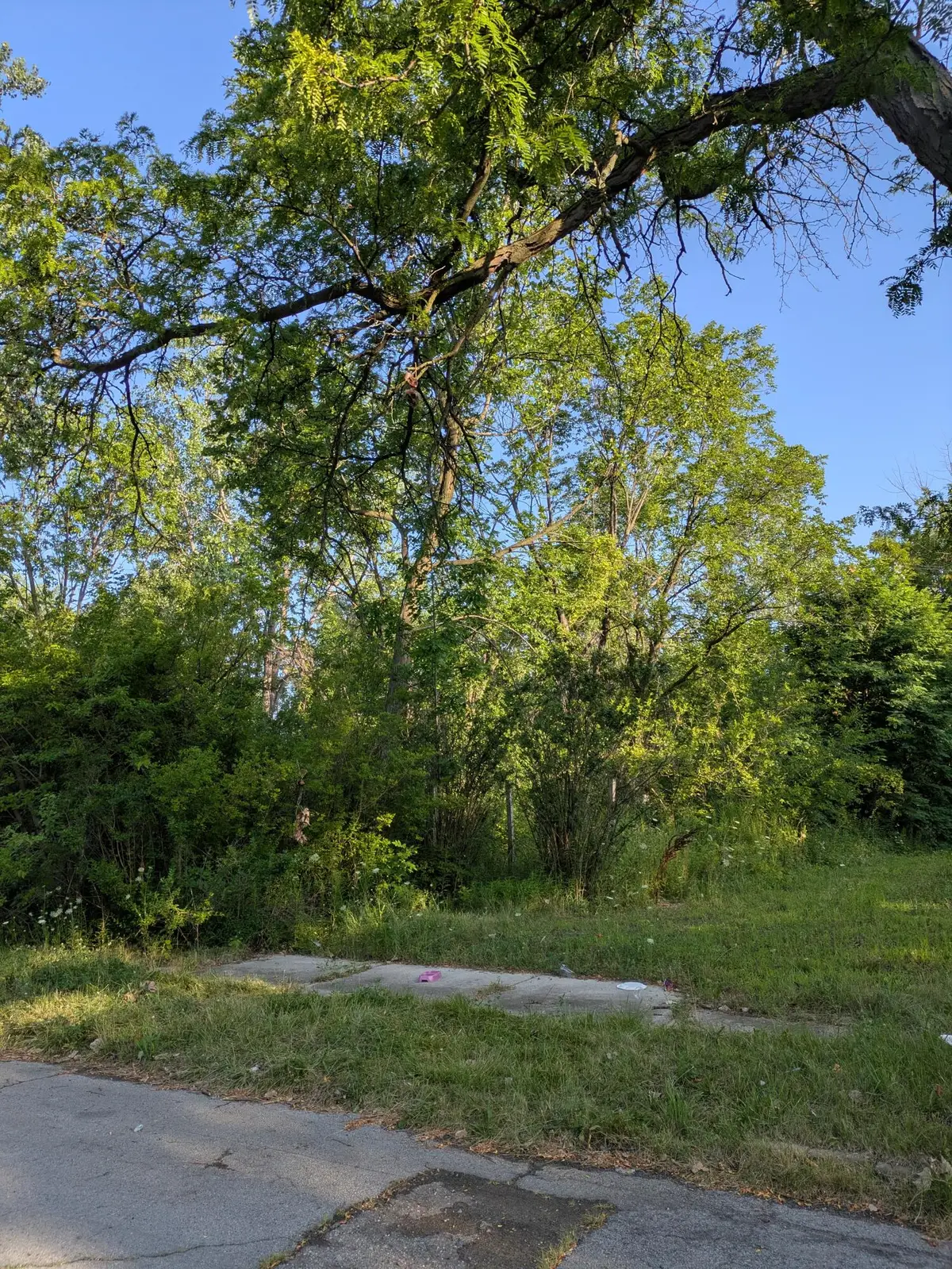2660 W Forest Avenue, Detroit, MI 48208 - #1