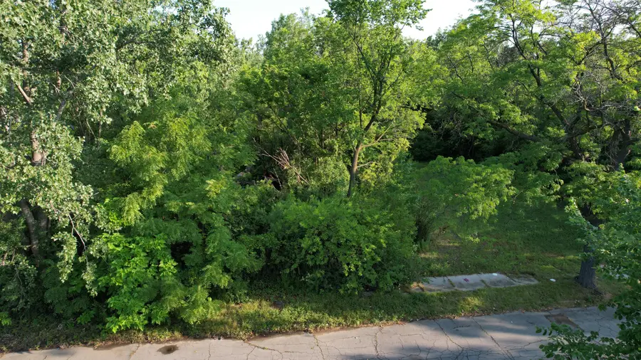2660 W Forest Avenue, Detroit, MI 48208 - #3