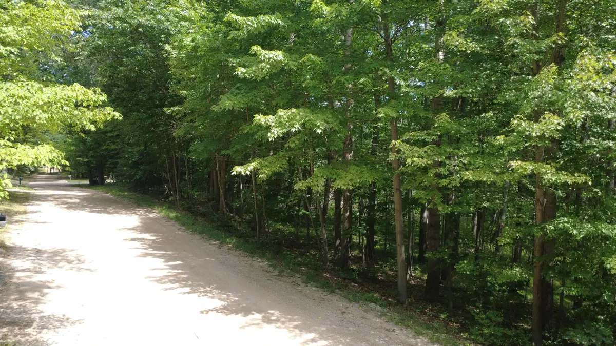 11113 Rambling Way, Canadian Lakes, MI 49346 - #1