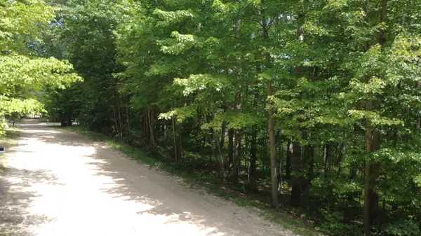 11113 Rambling Way, Canadian Lakes, MI 49346
