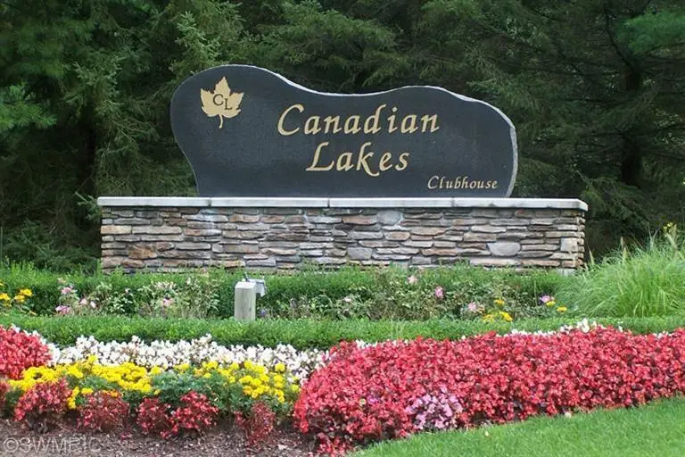 11113 Rambling Way, Canadian Lakes, MI 49346 - #3