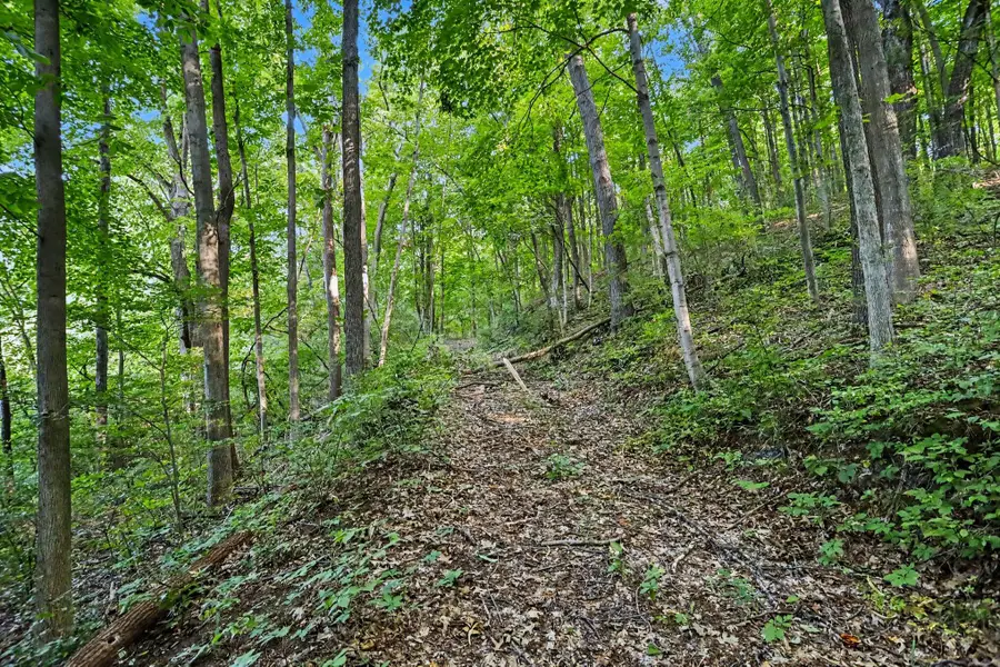 Guernsey Lake, Delton, MI 49046 - #3