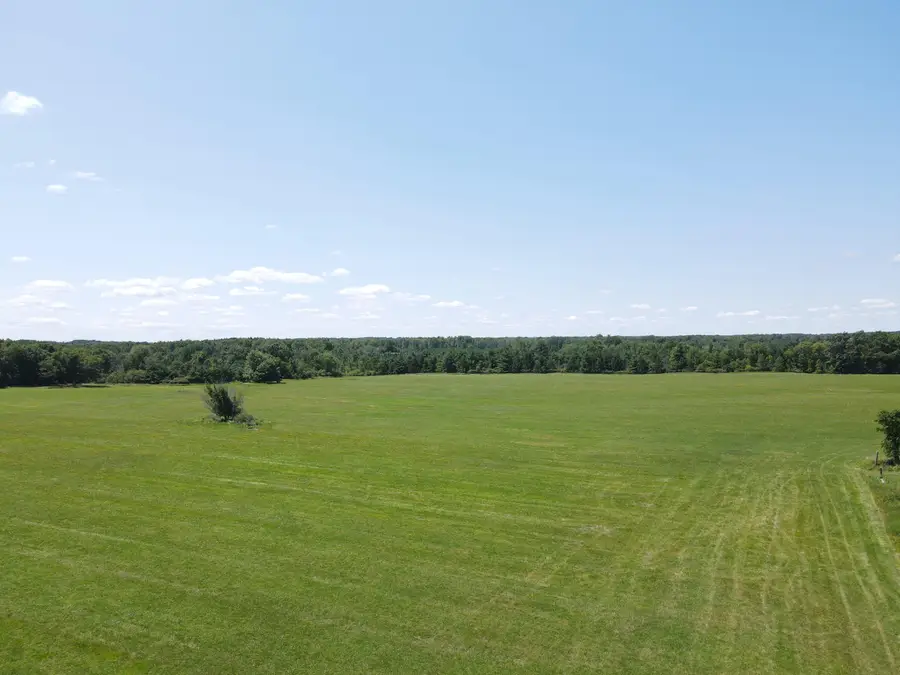 15943 N 20th Avenue, Marion, MI 49665 - #2