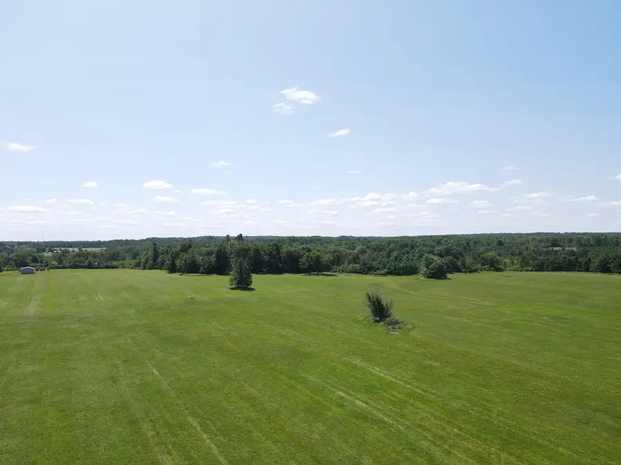 15943 N 20th Avenue, Marion, MI 49665 - #3