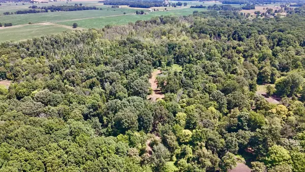 V/L N Scott Road, St. Johns, MI 48879
