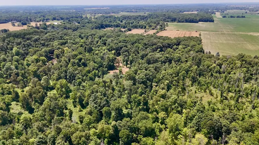 V/L N Scott Road, Saint Johns, MI 48879 - #3